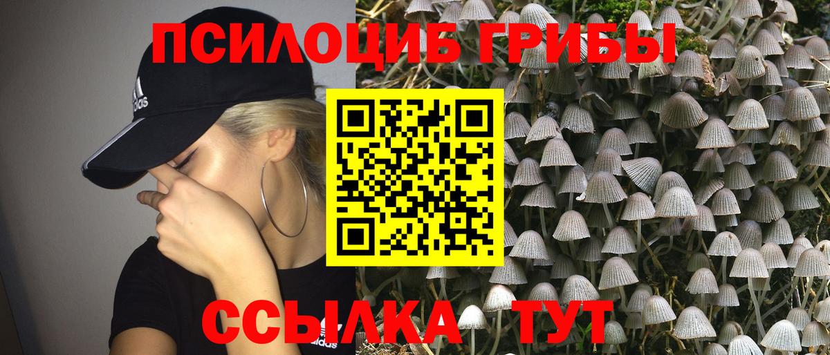 Псилоцибиновые грибы мицелий  Вход с VPN  Галлюциногенные грибы ЛСД  Сергиев Посад 